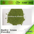 Wholesale Barley Grass Powder